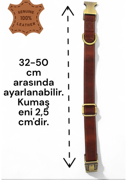 Kahverengi Deri Köpek Boyun Tasması, Kişiye Özel, Küçük ve Orta Irk Için, 2cm