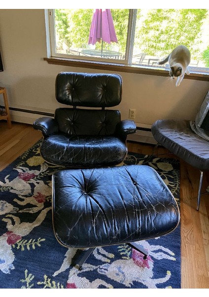 Yeni Eames Lounge Sandalyesi Bureli (Sadece Plastik Aparattır!!!)