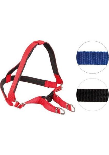 Yumuşak Dokulu, Hafif Köpek Bel Tasması, 3-5kg, Beyaz Renk