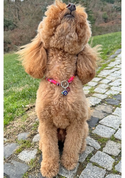 Pembe Ip Halat Kedi ve Köpek Boyun Tasması, Charm Uçlu, Gümüş Renkli fiyatları