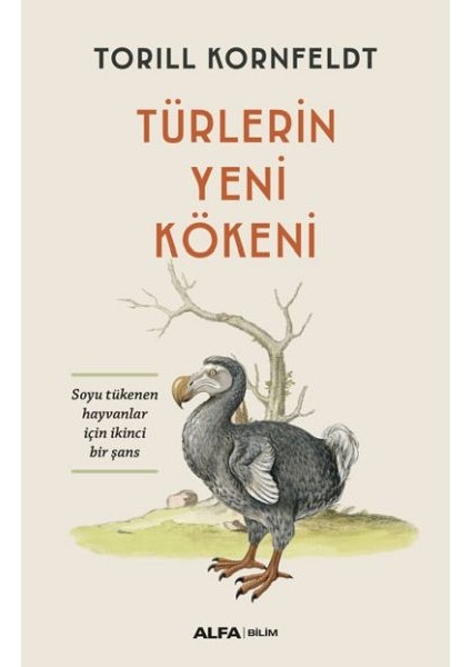 Türklerin Yeni Kökeni