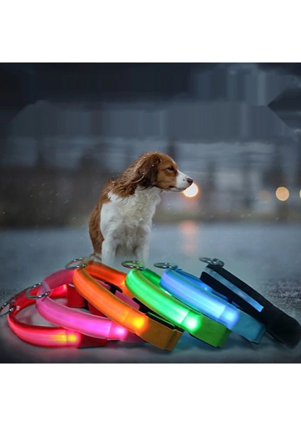 Işıklı Çok Fonksiyonlu Mavi Köpek Boyun Tasması fiyatları