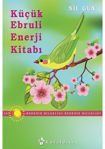 Küçük Ebruli Enerji Kitabı
