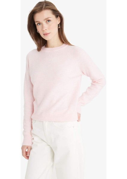 Regular Fit Bisiklet Yaka Basic Düz Soft Touch Yumuşak Triko Kazak D8678AX25WN