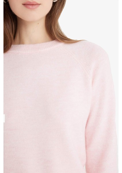 Regular Fit Bisiklet Yaka Basic Düz Soft Touch Yumuşak Triko Kazak D8678AX25WN indirimleri