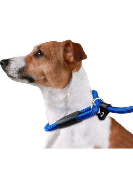 Küçük Irk Köpekler Için Kırmızı Eğitim Tasması, Rahat ve Dayanıklı Tasarım fiyatları