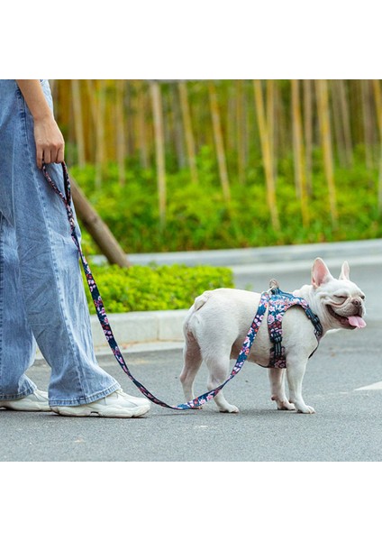 Renkli Çiçek Desenli, Neopren Süngerli, Mavi Köpek Tasması, Konforlu ve Şık Tasarım modelleri