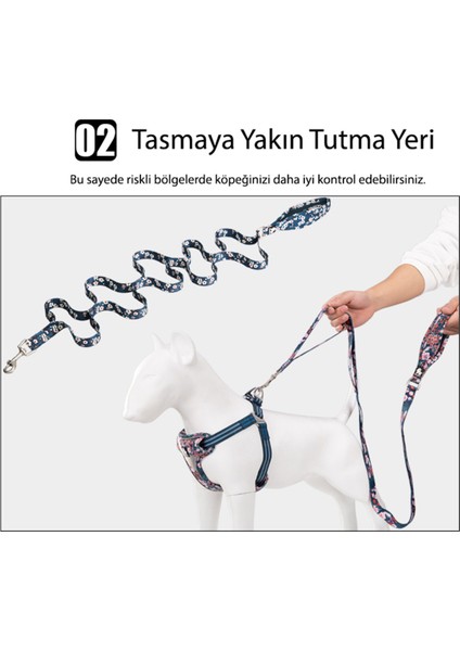 Renkli Çiçek Desenli, Neopren Süngerli, Mavi Köpek Tasması, Konforlu ve Şık Tasarım