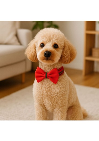 Ayarlanabilir Kedi ve Köpek Papyonu, Kırmızı, L Beden, Şık ve Rahat Kullanım fiyatları