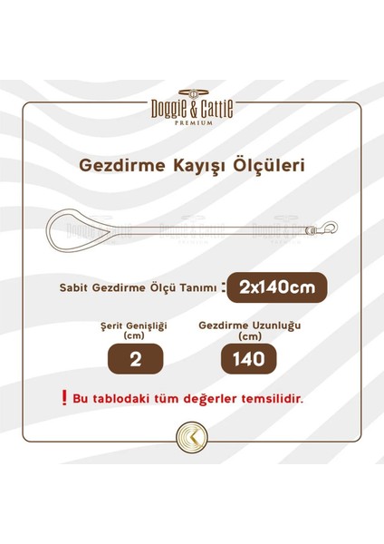 Renkli Konfor Dokuma Gezdirme Kayışı 2X140 Cm, Köpek Boyun Tasması fırsatları