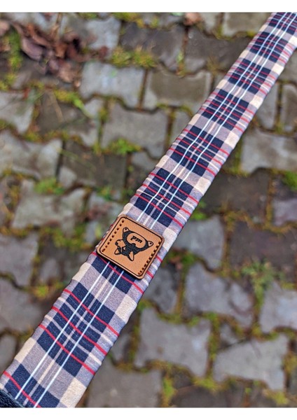 Çok Renkli Köpek Tasma Seti, Şık ve Rahat Boyun Tasması, Çok Renkli Tasarım