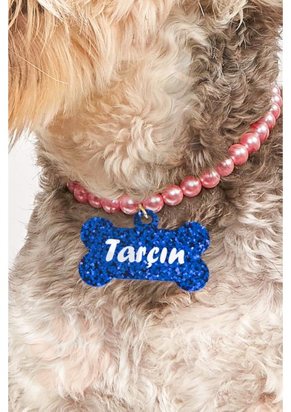 Lacivert Renkli, Incili, Şık Köpek Boyun Tasması, Rahat ve Şık Tasarım, Hafif ve Dayanıklı fiyatları