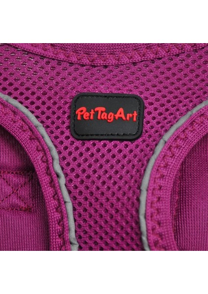Mor Airmesh Göğüs Tasması, Konforlu ve Şık Köpek Aksesuarı fırsatları