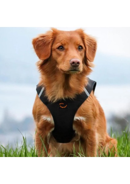 Hava Geçirgen Köpek Göğüs Tasması, Siyah Renk, Yerli Üretim, Rahat ve Dayanıklı