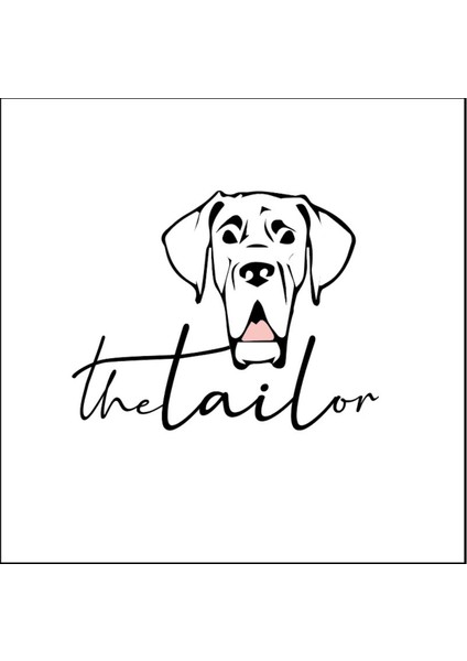 Mor Taş Detaylı Vegan Deri Köpek Boyun Tasması, Şık ve Rahat Kullanım Sağlar. modelleri