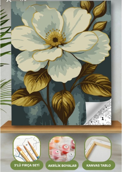 Sayılarla Boyama Seti 40X50 cm (Çıtalı) Fırça Boya Dahil Numaralı Tuval Beyaz Çiçek