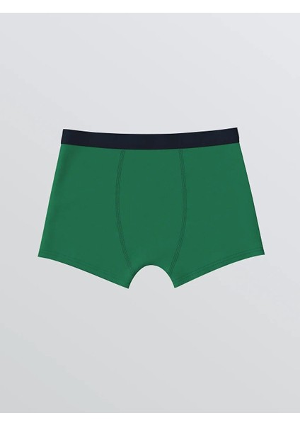 Yılbaşı Temalı Erkek Çocuk Boxer 3'lü (W5) modelleri