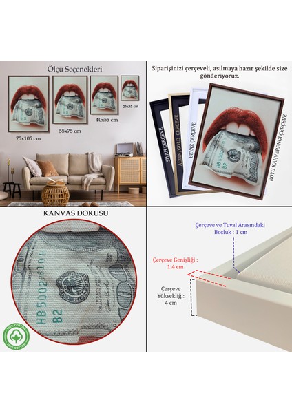 Çerçeveli Ağzın Da Dolar Olan Kadın Duvar TABLOSU-6260 indirimleri