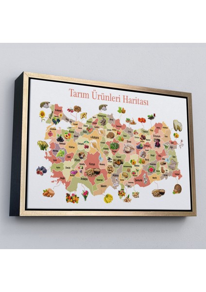 Çerçeveli Tarım Ürünleri Yerli Malı Haftası Türkiye HARITASI-1046