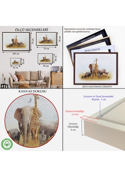 Çerçeveli Hayvanlar Alemi Dekoratif Kanvas TABLO-1146 fırsatları