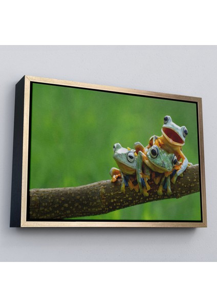 Çerçeveli Küçük Kurbağalar Dekoratif Kanvas TABLO-1179 fiyatları