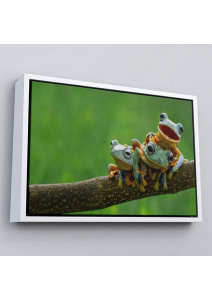 Çerçeveli Küçük Kurbağalar Dekoratif Kanvas TABLO-1179 fırsatları