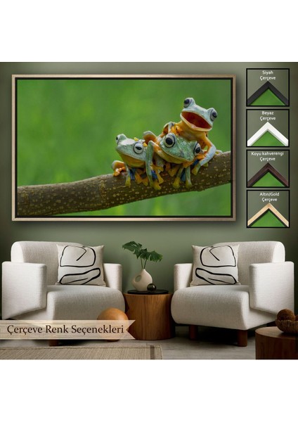 Çerçeveli Küçük Kurbağalar Dekoratif Kanvas TABLO-1179