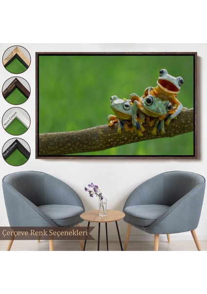 Çerçeveli Küçük Kurbağalar Dekoratif Kanvas TABLO-1179