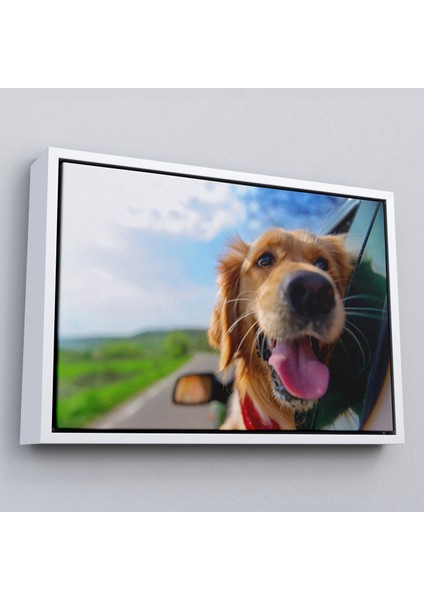 Çerçeveli Köpek Dekoratif Kanvas TABLO-1130