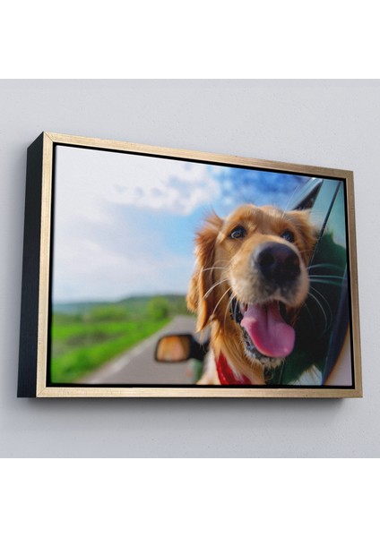 Çerçeveli Köpek Dekoratif Kanvas TABLO-1130 modelleri