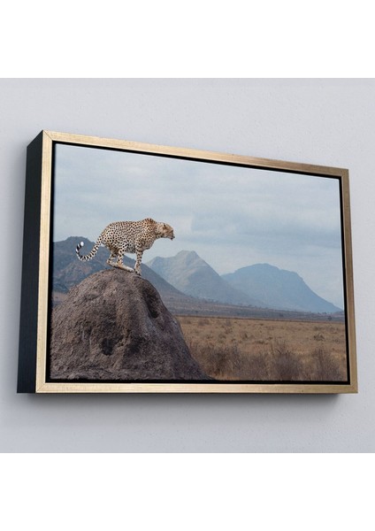 Çerçeveli Leopar Dekoratif Kanvas Tablo -1127