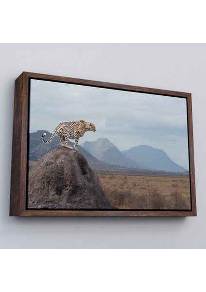Çerçeveli Leopar Dekoratif Kanvas Tablo -1127 fiyatları