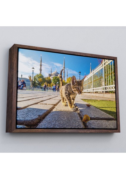 Çerçeveli Sultan Ahmet Camii Önündeki Yavru Kedi TABLOSU-6507 fiyatları