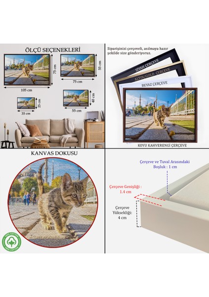 Çerçeveli Sultan Ahmet Camii Önündeki Yavru Kedi TABLOSU-6507 indirimleri