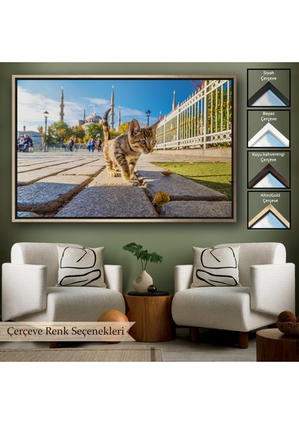 Çerçeveli Sultan Ahmet Camii Önündeki Yavru Kedi TABLOSU-6507