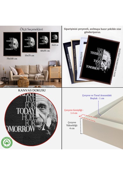 Çerçeveli Dünden Öğrenin Bugünü Yaşayın Yarını Umut Edin Kanvas Tablo, Albert EINSTEIN-5275 indirimleri