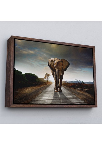 Çerçeveli Fil Dekoratif Kanvas TABLO-1118