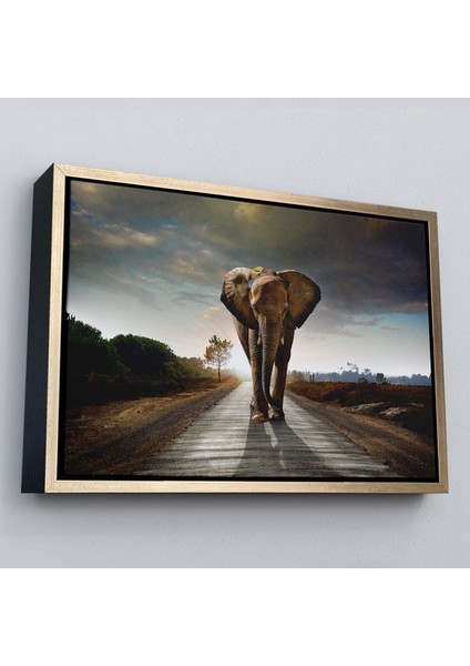 Çerçeveli Fil Dekoratif Kanvas TABLO-1118 fiyatları