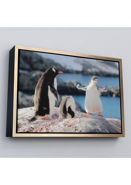 Çerçeveli Mutlu Penguenler Dekoratif Kanvas TABLO-1172 modelleri