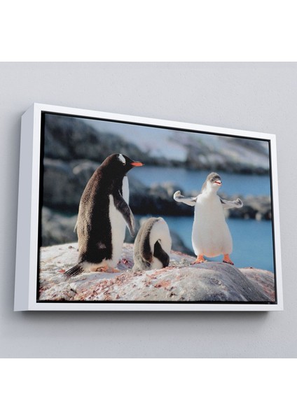 Çerçeveli Mutlu Penguenler Dekoratif Kanvas TABLO-1172 fırsatları