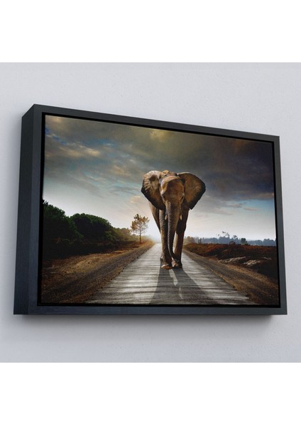 Çerçeveli Fil Dekoratif Kanvas TABLO-1118 modelleri