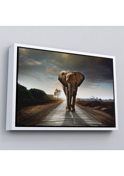Çerçeveli Fil Dekoratif Kanvas TABLO-1118 fırsatları
