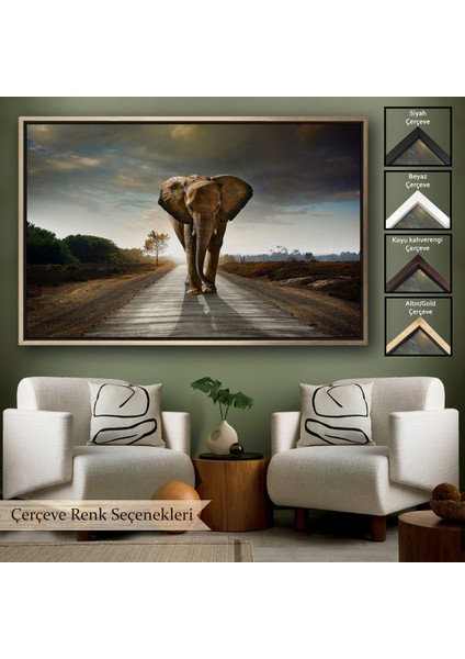 Çerçeveli Fil Dekoratif Kanvas TABLO-1118