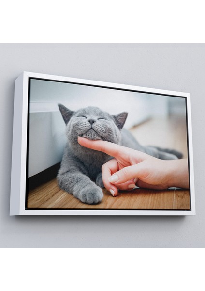 Çerçeveli Sevimli Kedi Dekoratif Kanvas TABLO-6505