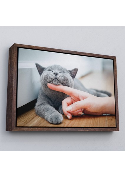 Çerçeveli Sevimli Kedi Dekoratif Kanvas TABLO-6505 fiyatları