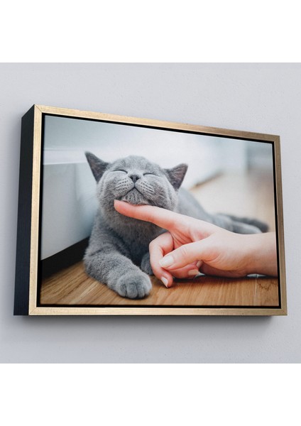 Çerçeveli Sevimli Kedi Dekoratif Kanvas TABLO-6505 modelleri