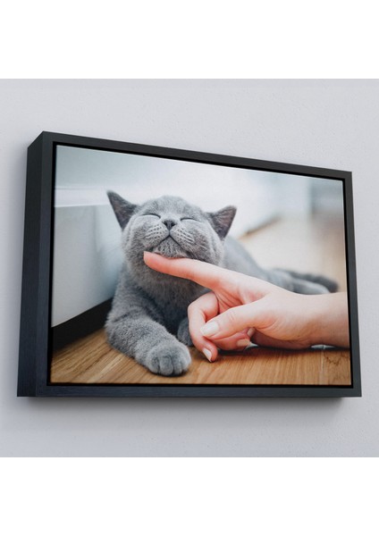 Çerçeveli Sevimli Kedi Dekoratif Kanvas TABLO-6505 fırsatları