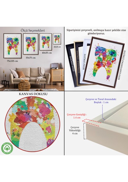 Çerçeveli Renkli Diş, Diş Hekimi Duvar TABLOSU-6153 indirimleri