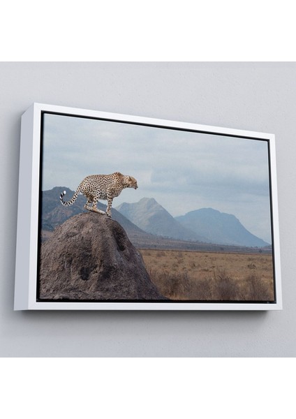 Çerçeveli Leopar Dekoratif Kanvas Tablo -1127 fırsatları