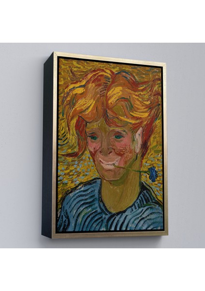 Çerçeveli Vincent Van Gogh - Mavi Kantaronlu Delikanlı Tablo - Young St. John's WORT-7477 fiyatları